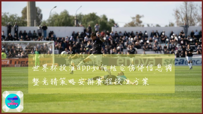 世界杯投注app如何结合伤停信息调整竞猜策略安排赛程投注方案