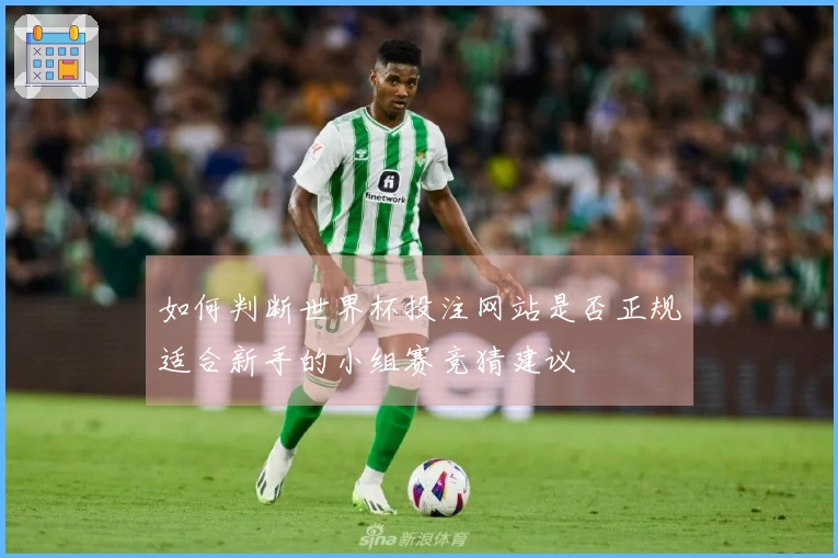 如何判断世界杯投注网站是否正规适合新手的小组赛竞猜建议